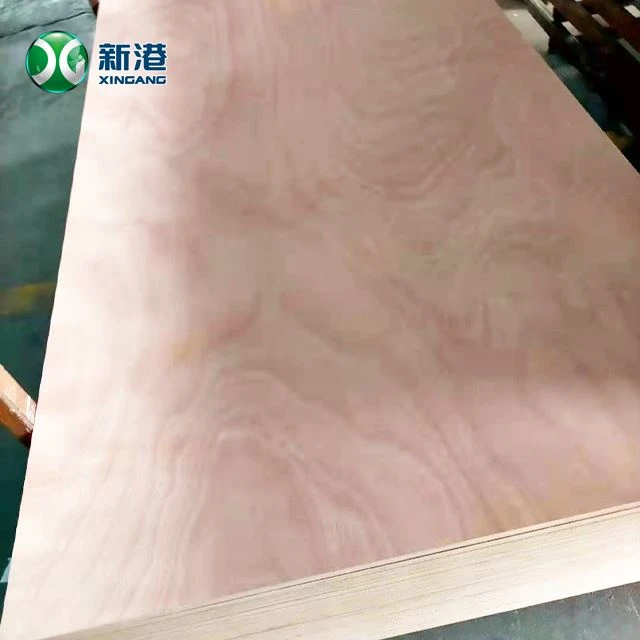 Birch Core Furniture Plywood Commercial Plywood Packing Qib Furniture Qib