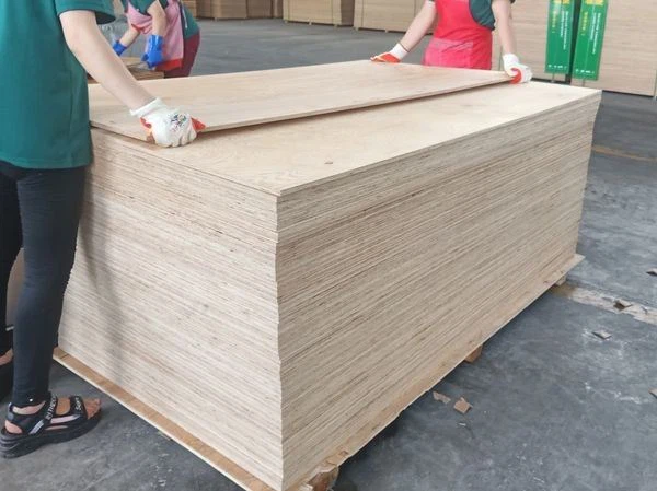 Pine Birch Pencil Cedar Bintangor Okoume Lub ntsej muag / rov qab Ua Lag Luam Plywood Sheet Zoo Tshaj Plaws