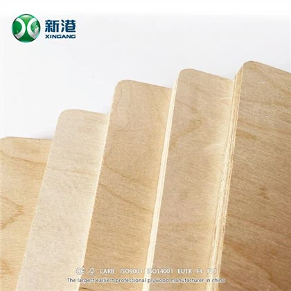 Birch ntsej muag Poplar Core Plywood