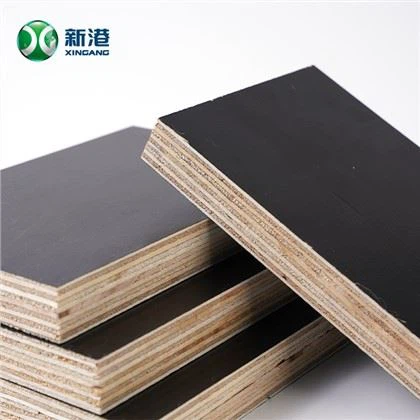 XINGANG BRAND ANTI-Slip zaj duab xis FACED PLYWOOD