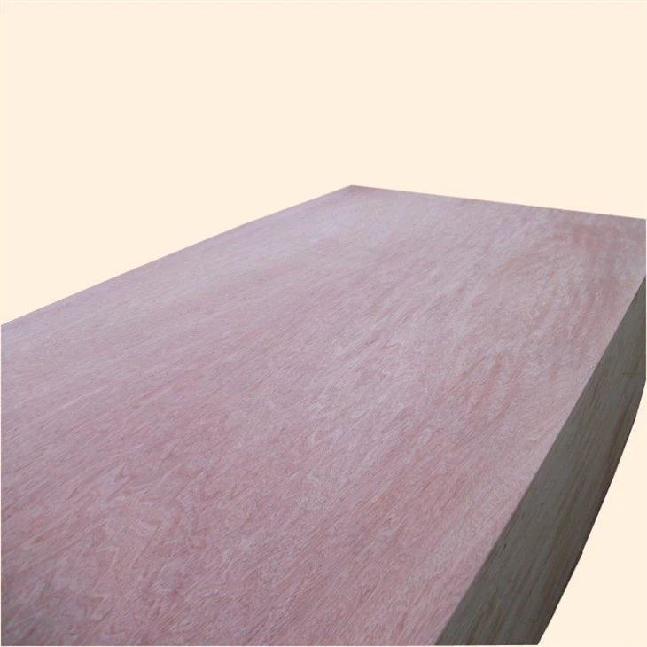 Commercial Plywood Packaging Plywood 8x4 FT Good Price