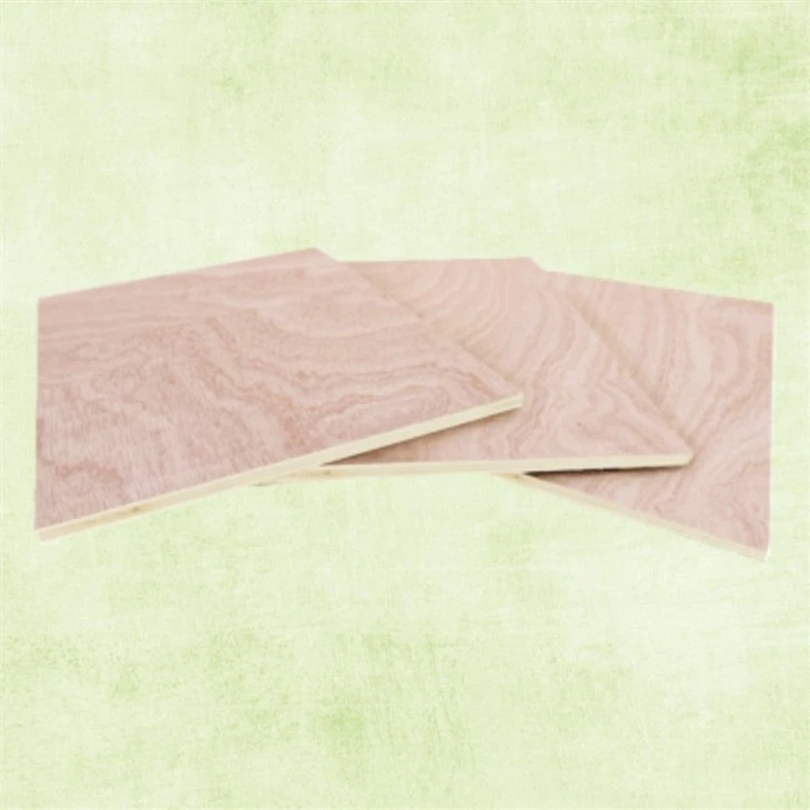 Natural Poplar Plywood Commercial Plywood For Furniture