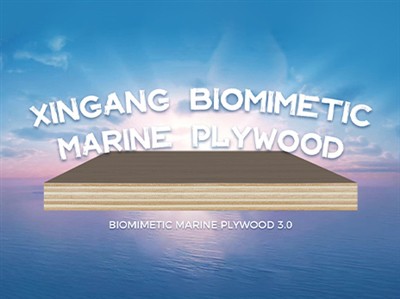 Xingang Biomimetic Marine Plywood: Revolutionizing Detable & Kev Nyab Xeeb Ch...