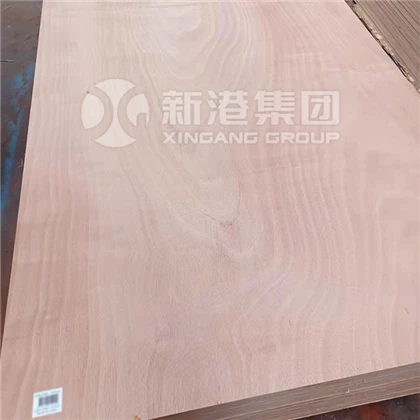 18 hli eucalyptus okroume plywood
