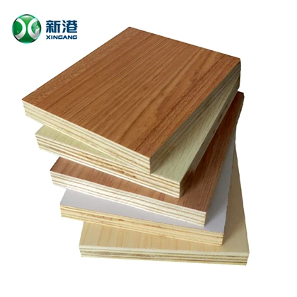 Marine Plywood 20241122