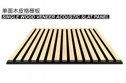 Sound Absorption Phab Ntsa Vaj Huam Sib Luag